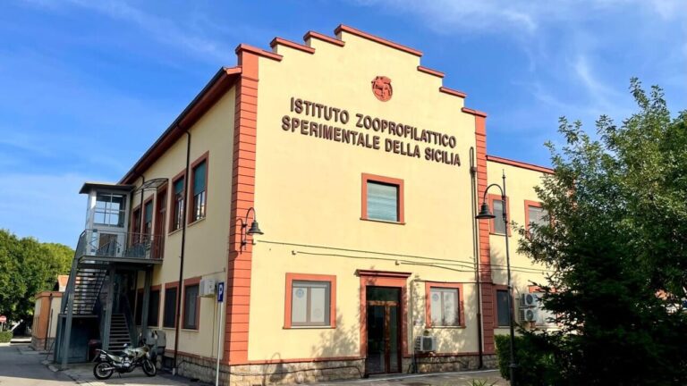 Istituto Zooprofilattico Sperimentale di Sicilia in via Gino Marinuzzi foto Virga 4