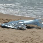 Tragedia in spiaggia, uolo non riemerge dall'apnea