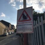 Richiesta pubblicazione articolo: Trecastagni, al via una campagna per tutelare i gatti randagi e sensibilizzare gli automobilisti