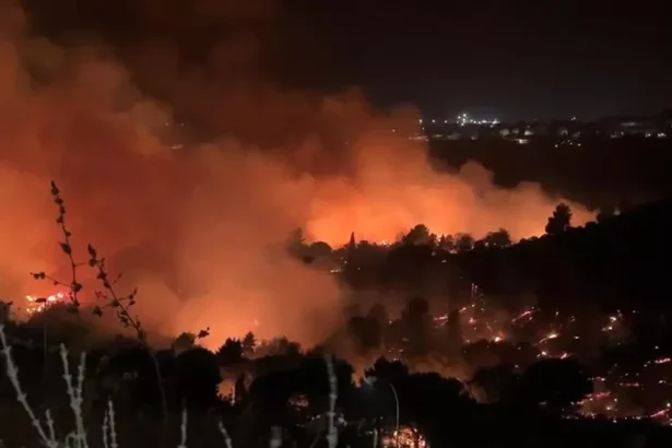 "Le temperature roventi di questi giorni hanno favorito il propagarsi di gravissimi incendi in tutta la Sicilia. Brucia, ancora una volta, il nostro inestimabile patrimonio di biodiversità e la speranza per un futuro basato sulla bellezza. Siamo in piena emergenza, purtroppo alimentata dal forte acuirsi della crisi climatica che amplifica la velocità, l'intensità e la capacità distruttiva del fuoco". Lo dice Legambeinte in una nota chiedendo "già dalle prossime ore e per l'intero periodo estivo in tutti i casi di allerte meteo, sia l'intervento straordinario dell'esercito, al fine di potenziare le azioni di fondamentale presidio del territorio, con finalità di deterrenza per scongiurare gli atti criminali di questi giorni, sia il potenziamento dell'utilizzo dei mezzi antincendio della Marina militare e delle altre Forze dell'Ordine".