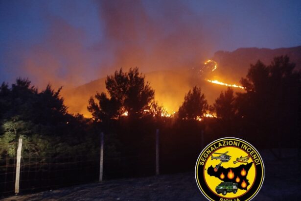 Inferno di caldo e incendi nel Palermitano, situazione grave a Monreale Palermo e provincia nella morsa del caldo, degli incendi e dei blackout. Nella notte appena trascorsa, in cui la temperatura si è attestata attorno ai 40 gradi, si sono registrati diversi incendi.