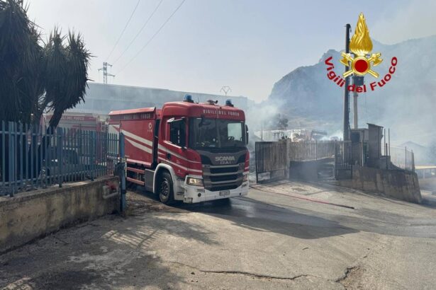 Dalle ore 8.00 alle ore 20.00 di oggi, sono stati 50 gli interventi che hanno visto impegnati i Vigili del Fuoco della provincia di Palermo. Di questi, 33 hanno riguardato incendi di varia natura, la maggior parte dei quali legati a incendi di vegetazione.
