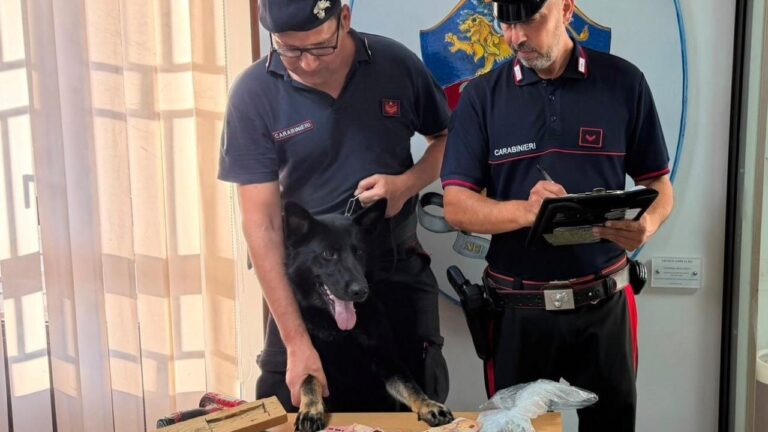 droga nascosta in veranda arrestato 63enne di monreale decisivo il fiuto di dea discover 1280x720 1