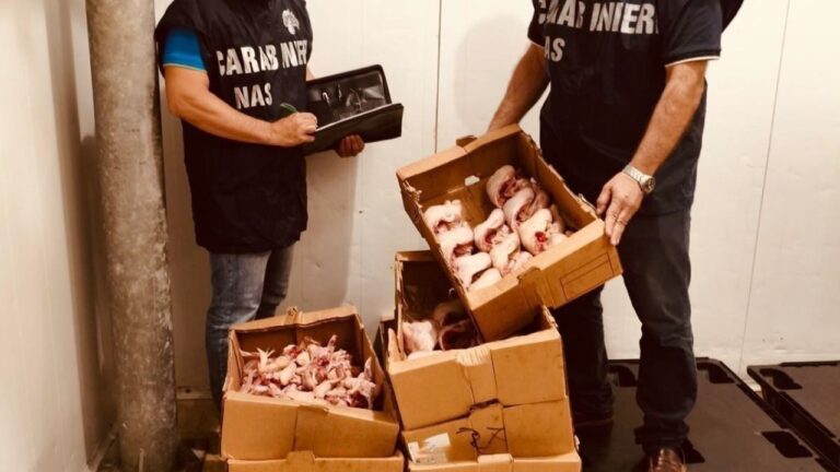 palermo orrore nei ristoranti sequestrati 5 quintali di cibo discover