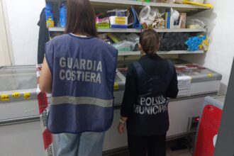 Controlli congiunti sulla movida cittadina da parte della Polizia Municipale di Palermo, della Guardia Costiera e dei Vigili del Fuoco nell’ambito delle attività di controllo del territorio finalizzate al rispetto delle regole sulla movida, alla tutela della salute dei consumatori e alla incolumità pubblica. Nel corso di un servizio effettuato venerdì sera, le verifiche hanno interessato un market nella zona tra via Lancia di Brolo e via Noce, dove sono state riscontrate numerose violazioni in materia di vendita di bevande, sicurezza alimentare e prevenzione incendi.
