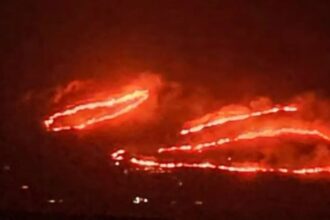 Notte di fuoco tra Trapani e Palermo: decine di roghi, spinti dalle raffiche di scirocco, hanno devastato vegetazione, colline e zone a ridosso dei centri abitati. I focolai più critici si registrano nel Trapanese, tra Castellammare del Golfo e la frazione di Scopello.