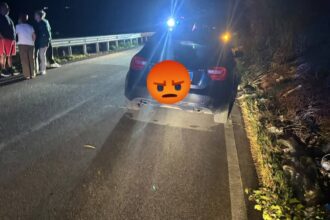 Una tragedia è stata sfiorata sabato sera a Misilmeri, sulla strada provinciale 76 che collega il paese a Villabate. Intorno alle 21, un automobilista si è trovato davanti un cinghiale di oltre 100 chili fermo al centro della carreggiata, all'altezza del cimitero comunale. Lo scontro è stato violentissimo e l'auto ha riportato danni notevoli, ma si sono evitate conseguenze gravi.
