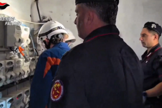 ​I Carabinieri della Compagnia San Lorenzo hanno condotto un servizio straordinario di controllo del territorio nel quartiere “Borgo Nuovo”. L'operazione ha visto l'impiego sinergico dei militari delle Compagnie di Carini e Partinico, della Compagnia di Intervento Operativo del 12° Reggimento “Sicilia”, dello Squadrone Eliportato “Cacciatori Sicilia”, del Nucleo Radiomobile, delle unità cinofile e dei reparti specializzati N.A.S. e N.I.L. A supporto delle componenti operative a terra, l'elicottero del 9° Nucleo ha garantito dall'alto un quadro costante del perimetro interessato dalle verifiche.