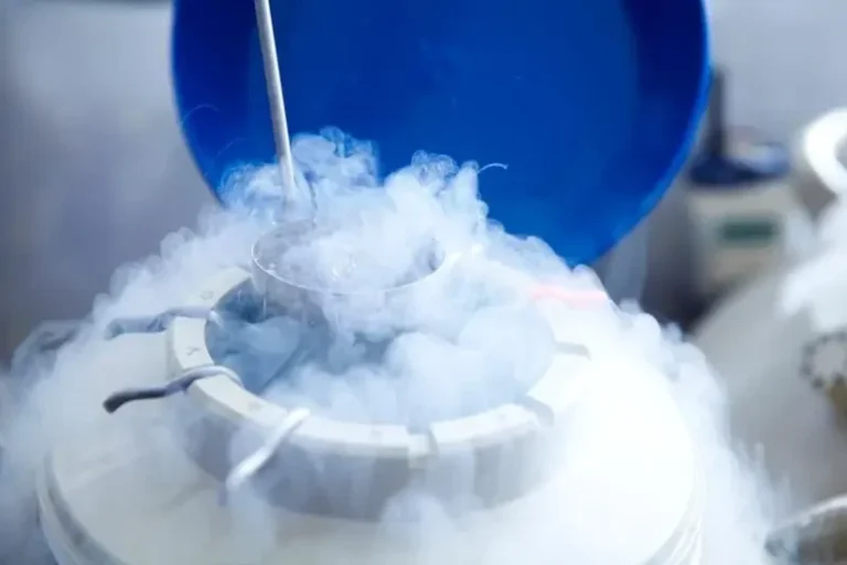 Social Freezing crioconservazione ovocitaria Thiene Vicenza.jpg