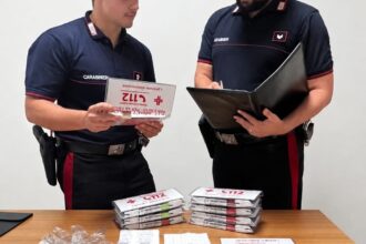 Durante un servizio perlustrativo per il controllo del territorio, i Carabinieri della Stazione di San Giuseppe Jato hanno deferito in stato di libertà un 64enne, originario di Catania, già noto alle forze dell'ordine, poiché ritenuto responsabile dei reati di introduzione e commercio di prodotti con segni falsi, unitamente alla vendita di prodotti industriali con segni mendaci.