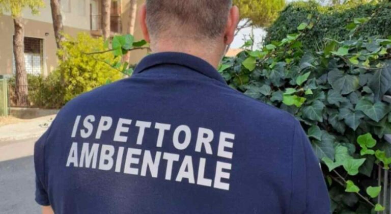 ispettore ambientale